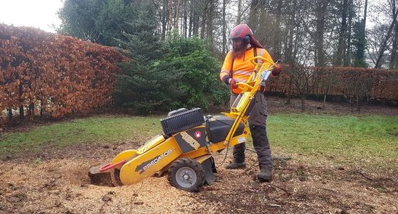 Working with the Predator stump remover