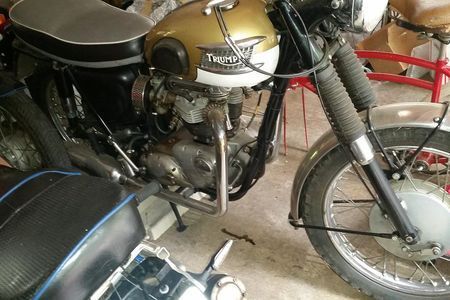 1964 Triumph T120 gold, white, black frame