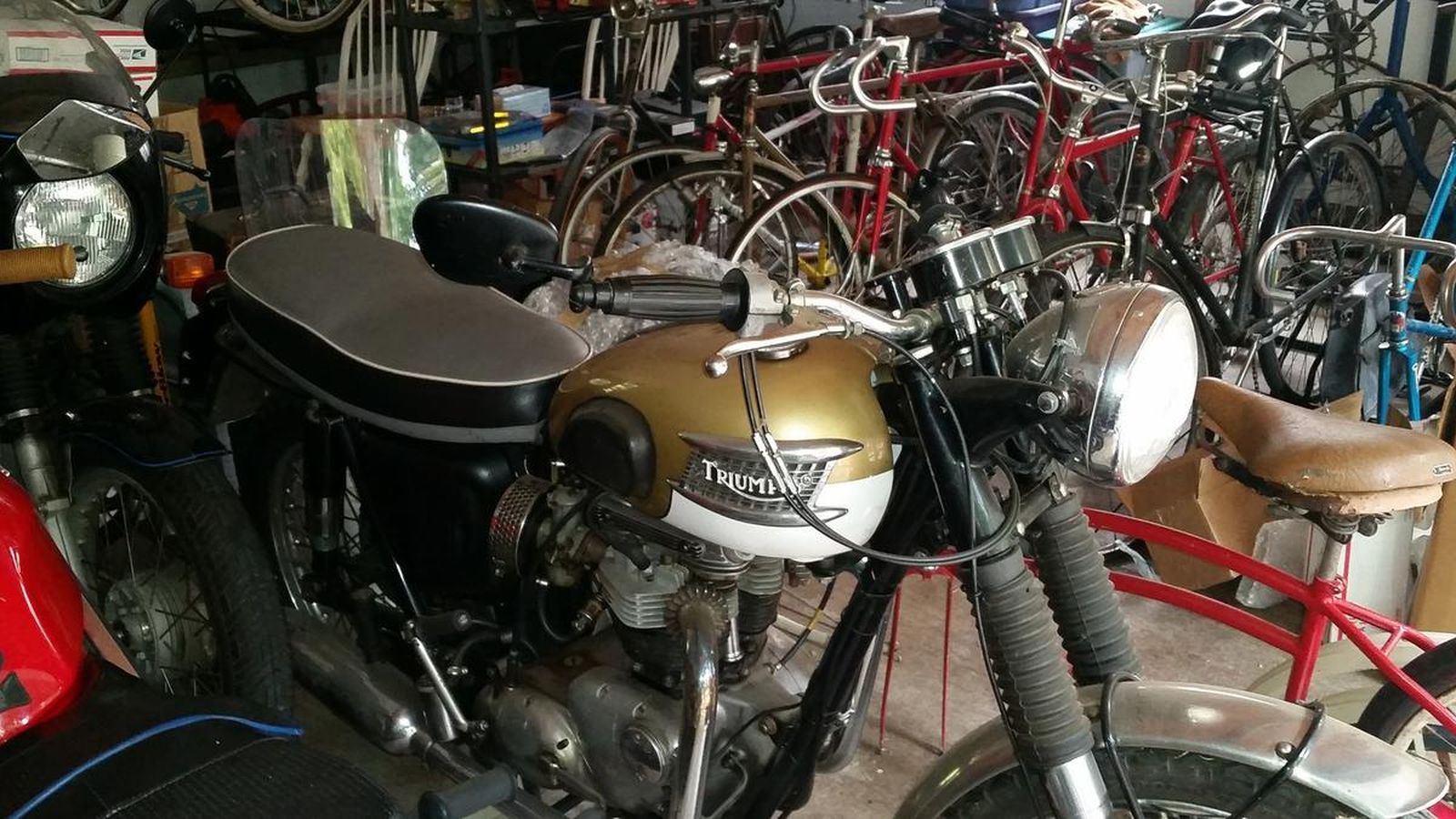 A triumph motorcycle is parked in a garage surrounded by bicycles.