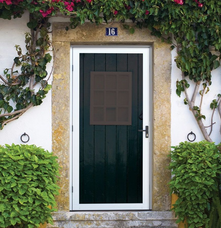 Window Company Near Me