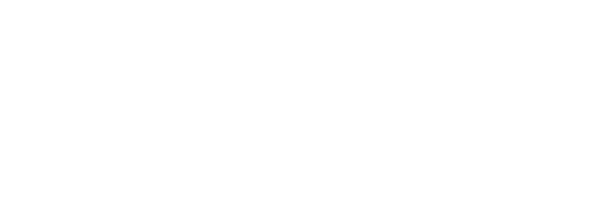 The District at Manhattan Logo