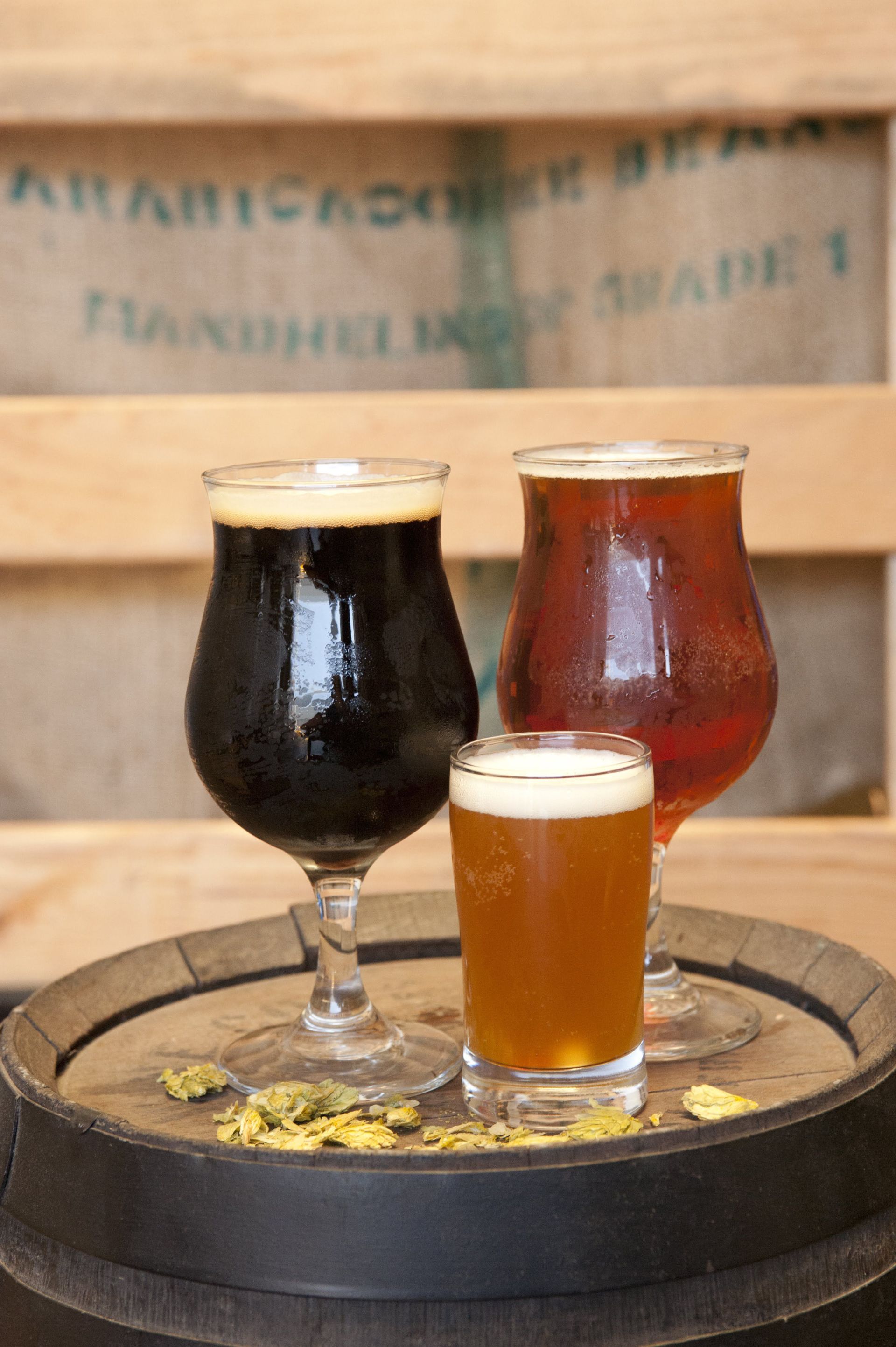 Kinds of beer in glasses