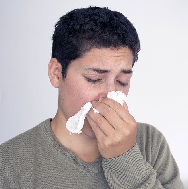 Alergia al polvo