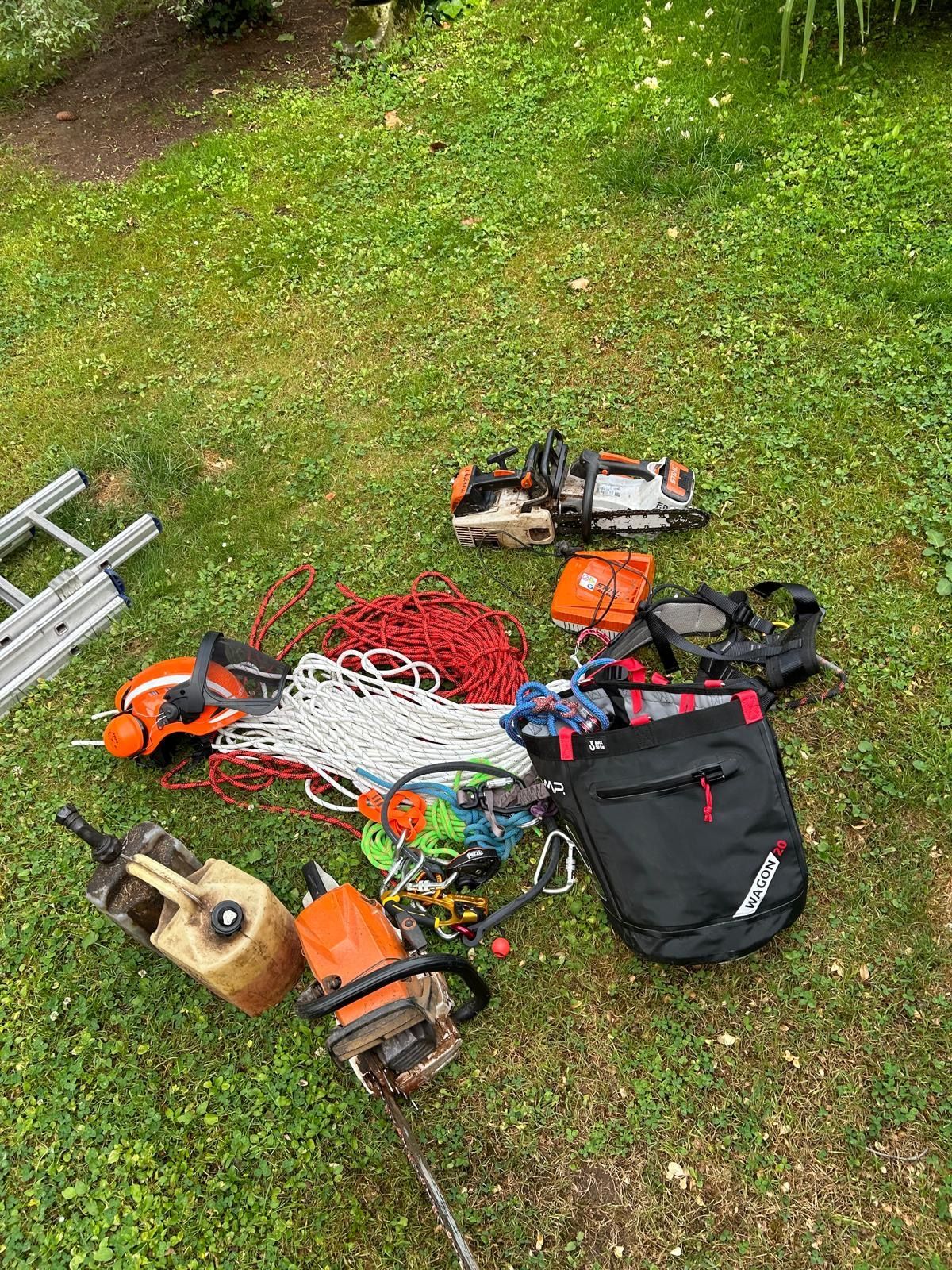 Servizio Tree Climbing