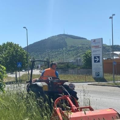 Stesura manto erboso