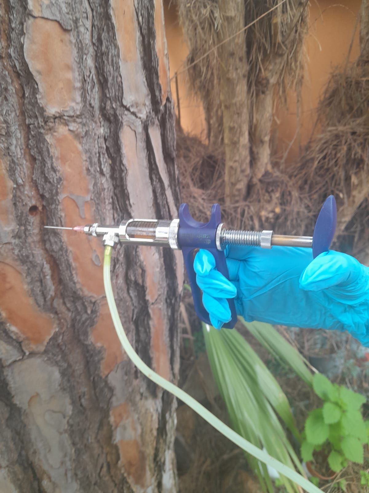 Posa di prato in rotoli