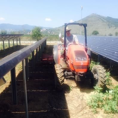 Stesura manto erboso