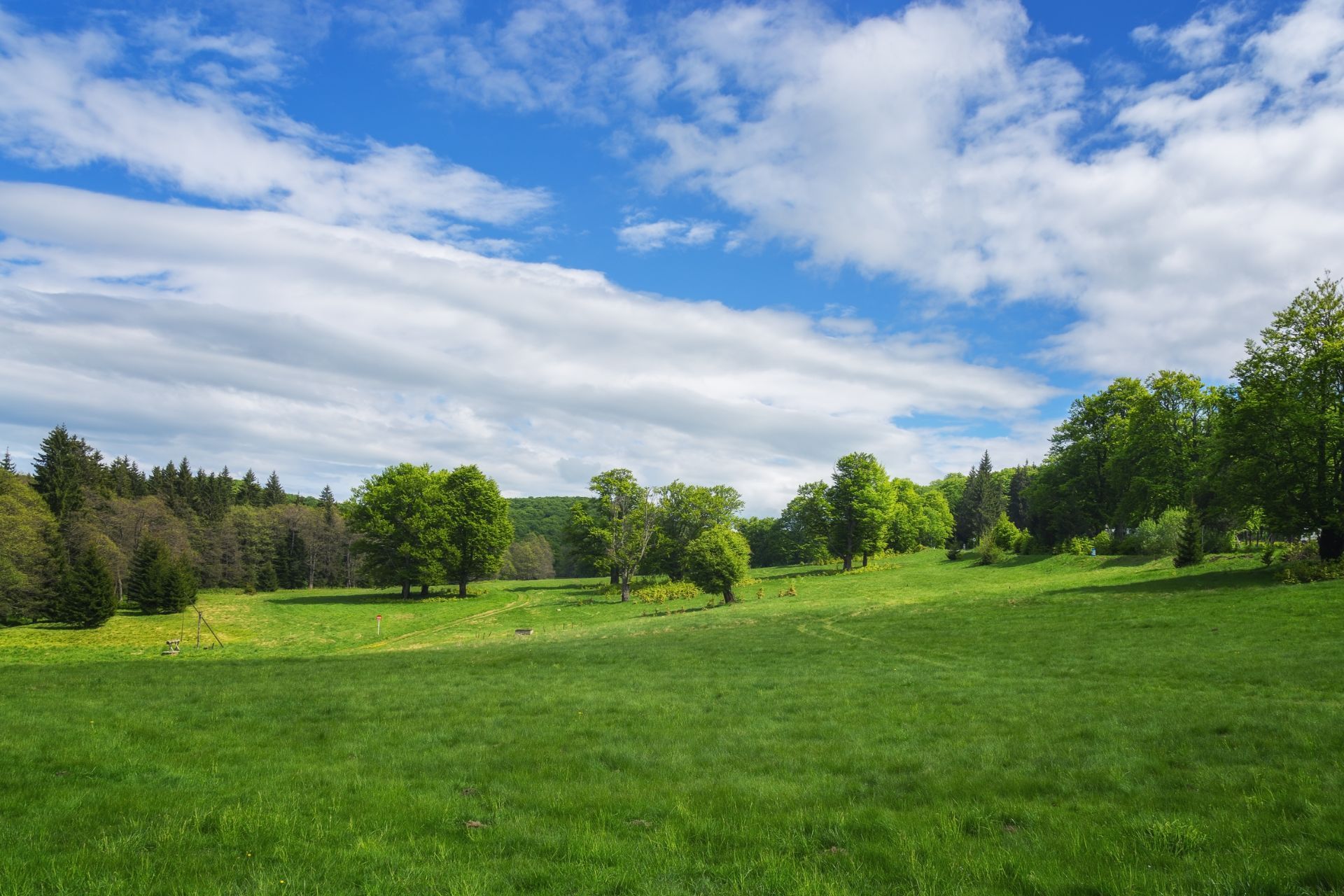 Manutenzione aree verdi grandi dimensioni