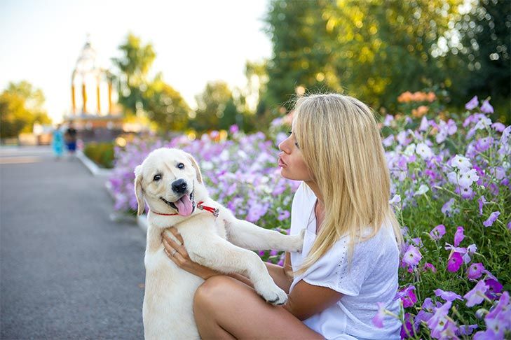 The Power of Proper Puppy Socialization and Training Classes