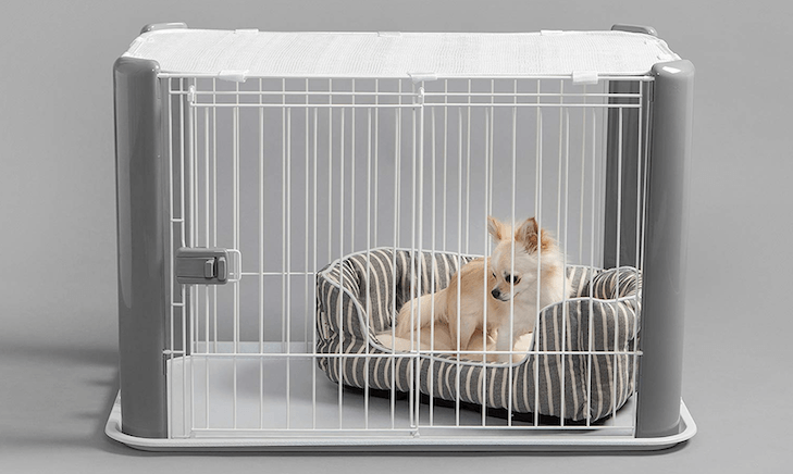 How to crate outlet train a new puppy