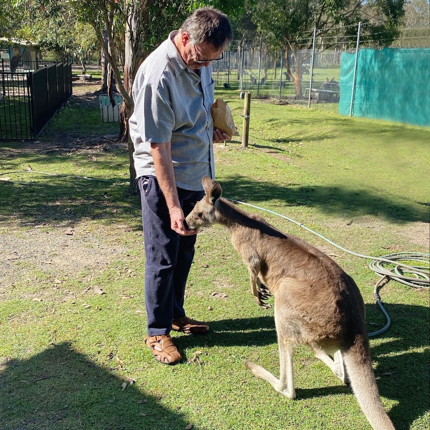 Australian Lifestyle Support 9 - NDIS in Urangan, QLD
