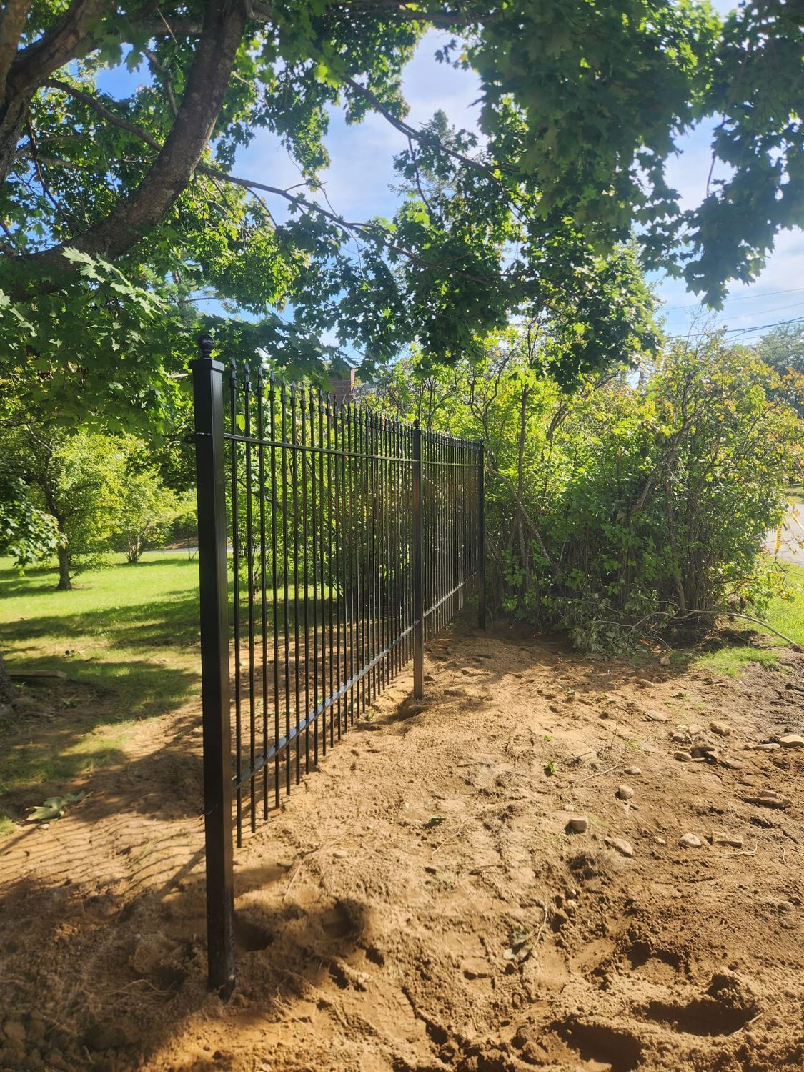 A metal fence is surrounded by trees and dirt in a park.