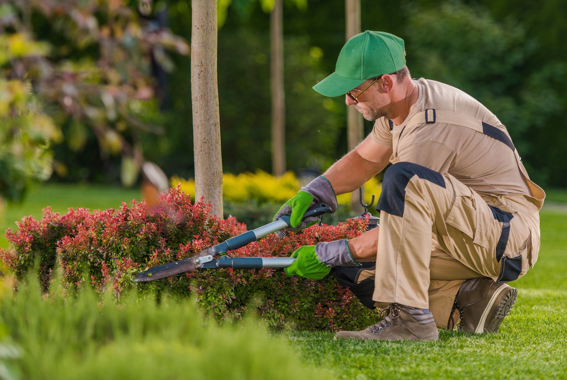 A man is kneeling down in a garden cutting flowers with a pair of scissors.