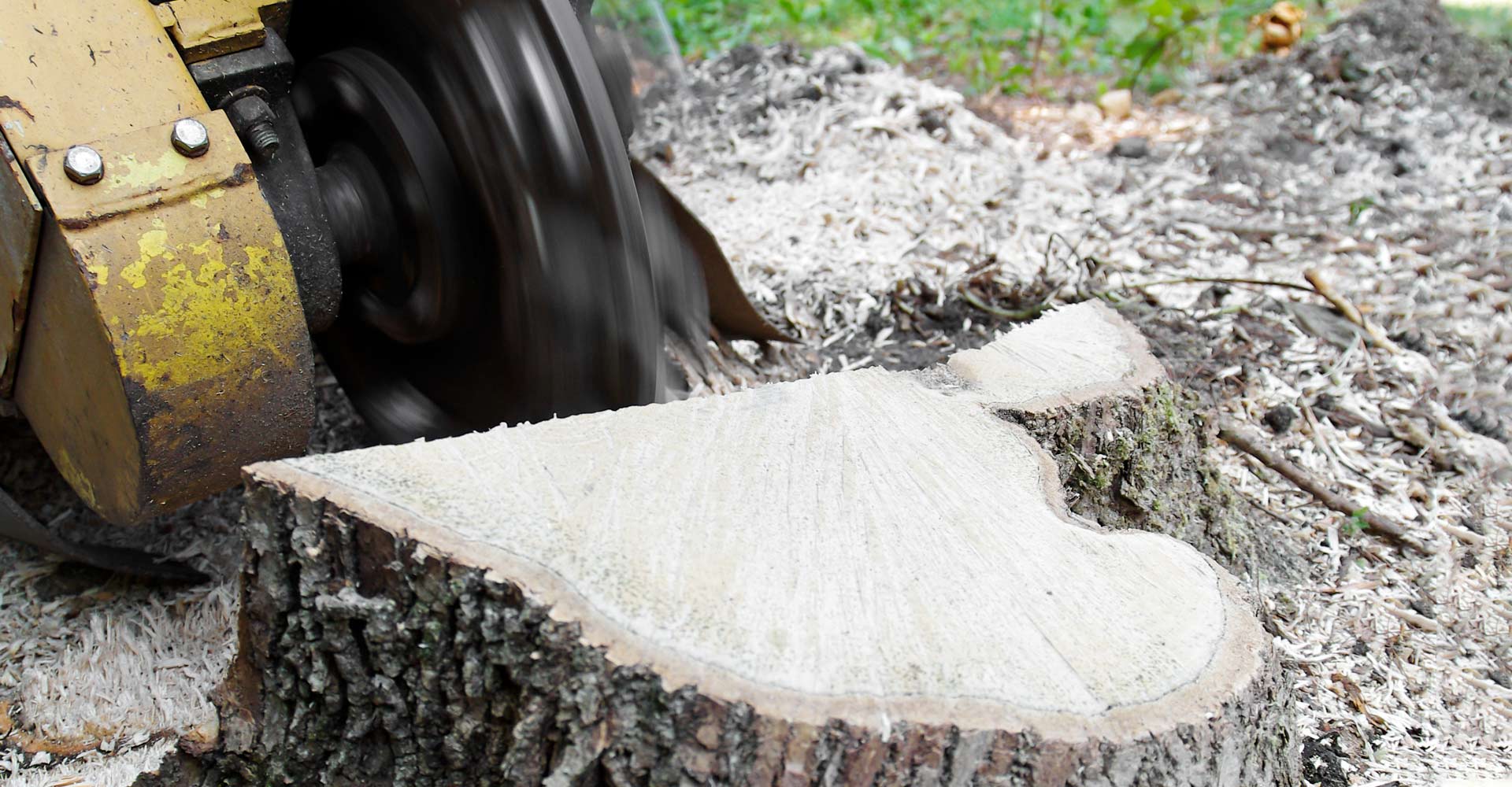 Stump Removal Sunshine COast