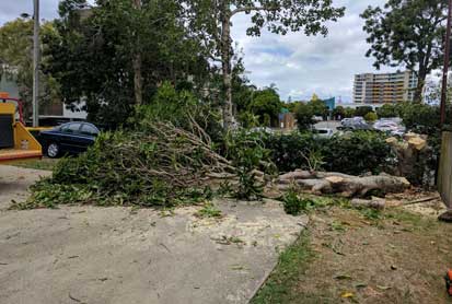 Onsite Chipping img1