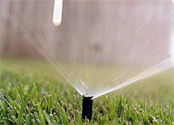 image-181673-122535-sprinkler-irrigation-management.jpg?1424446295016