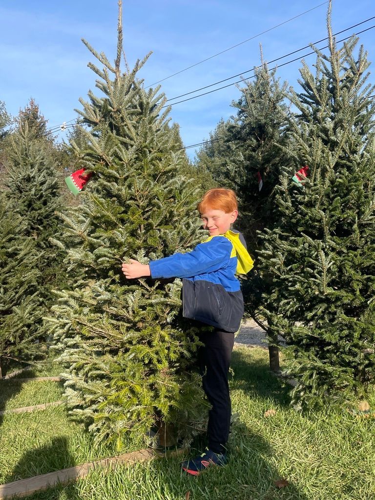 A young boy is standing next to a christmas tree in a field.
