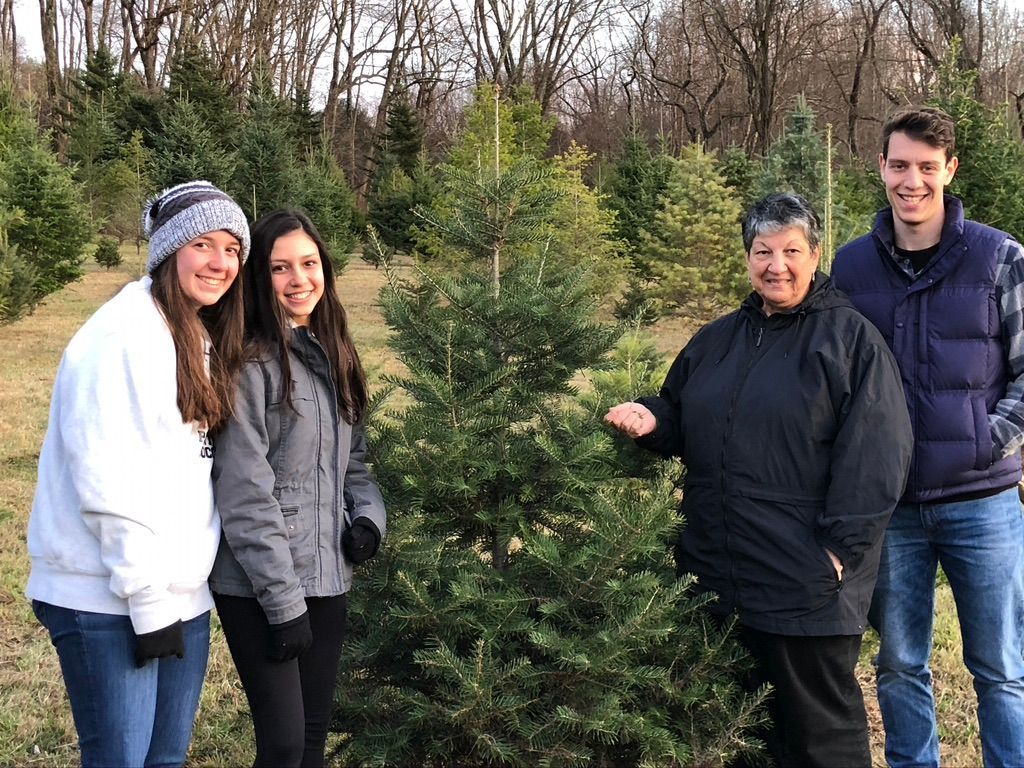 A group of people are standing next to a christmas tree in a field.