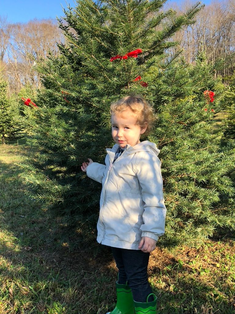 A little girl is standing in front of a christmas tree.