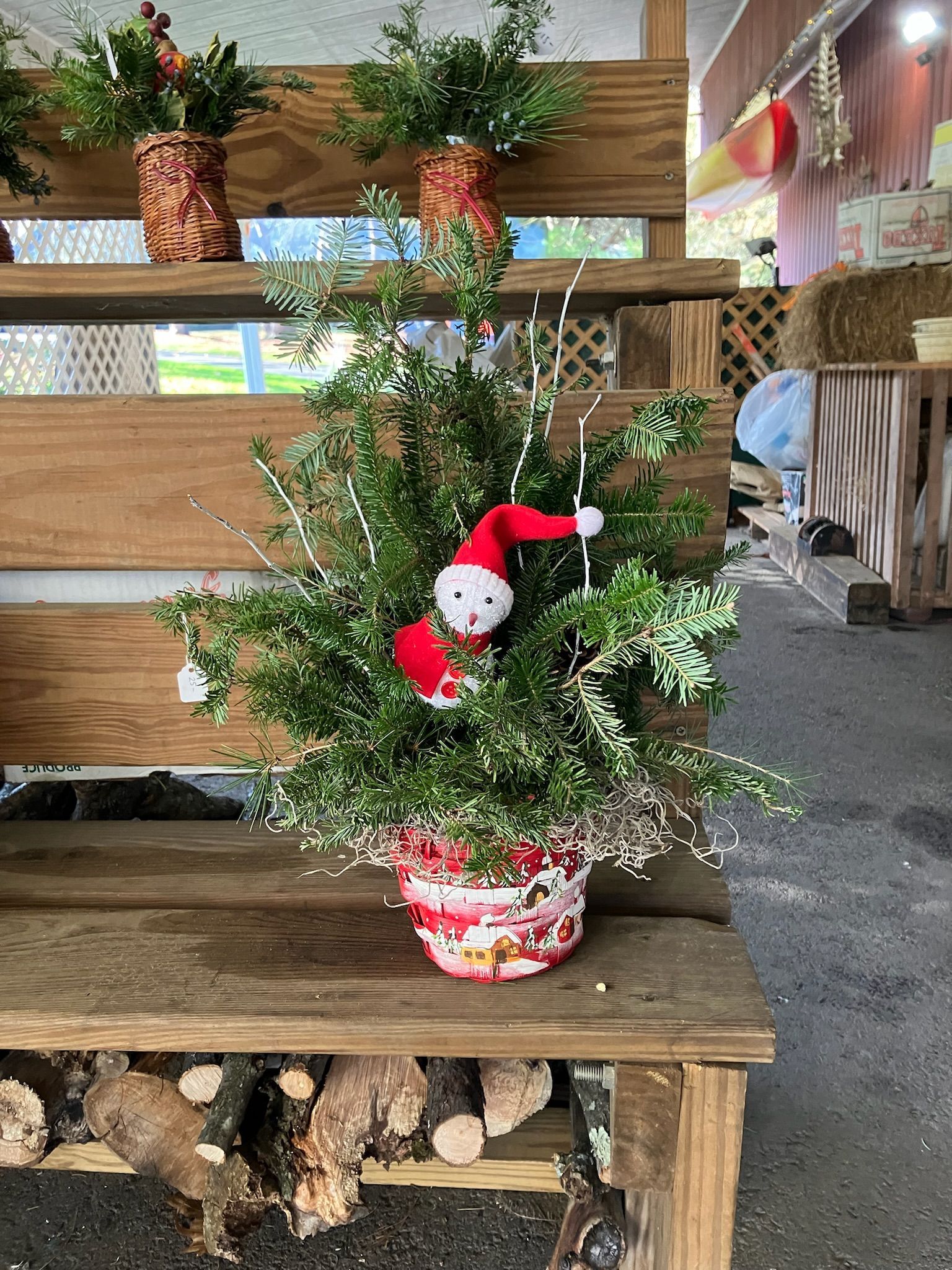 A christmas tree in a pot with a santa claus on top of it is sitting on a wooden bench.