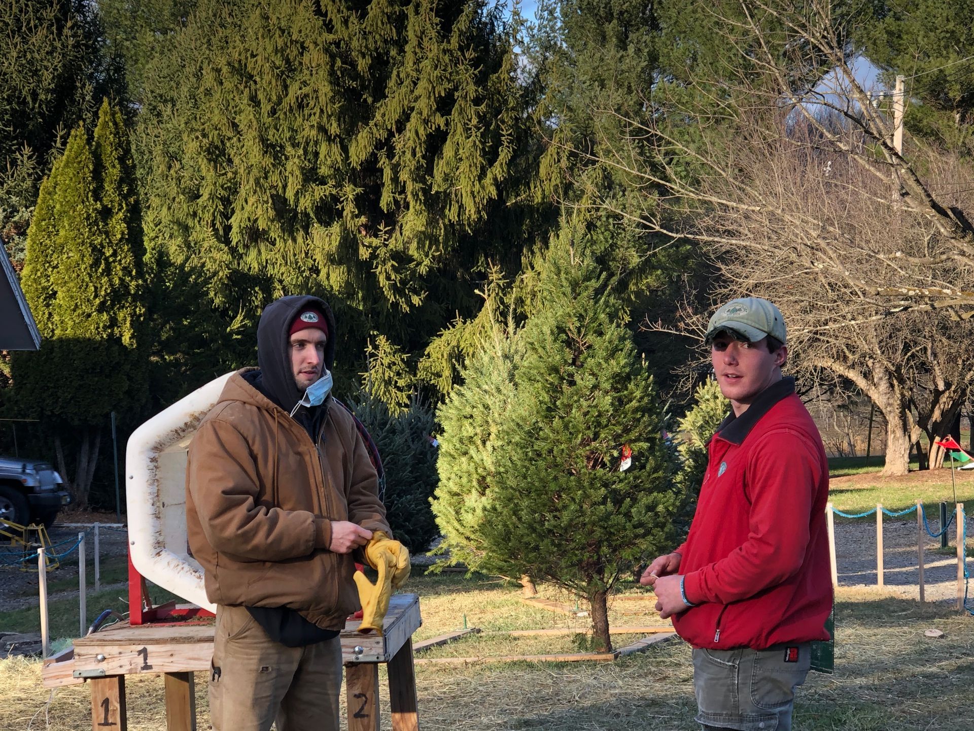 Two men are standing next to each other in front of a christmas tree farm.