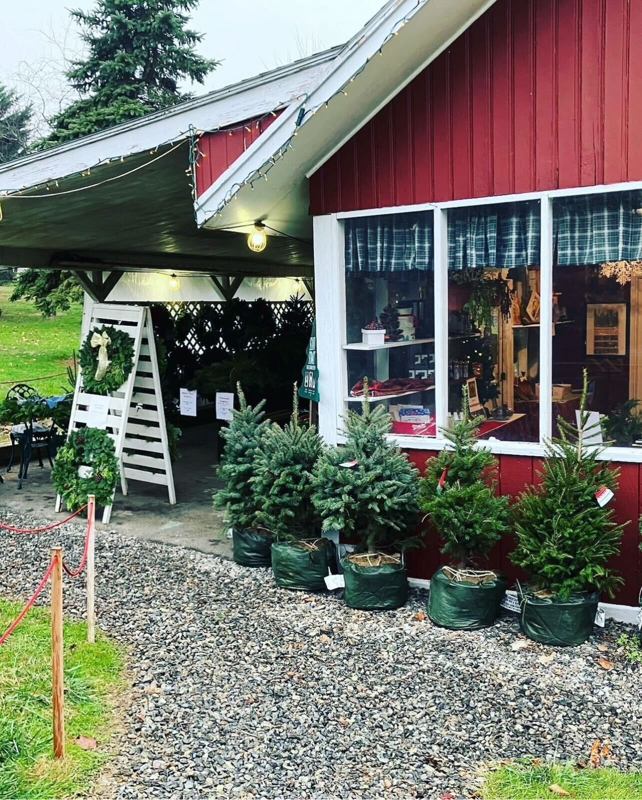 A red building with a lot of potted plants in front of it