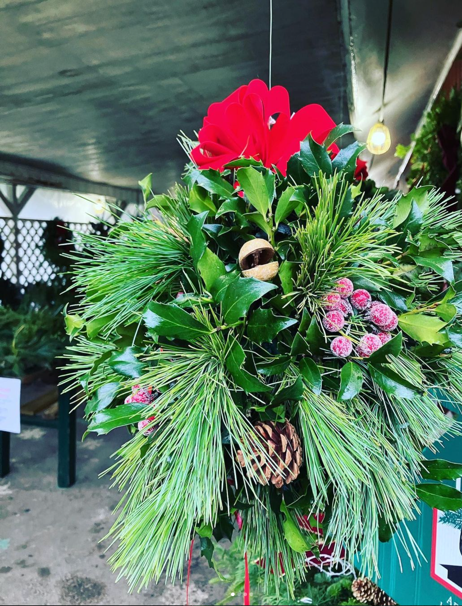 A close up of a christmas wreath with pine cones and flowers.