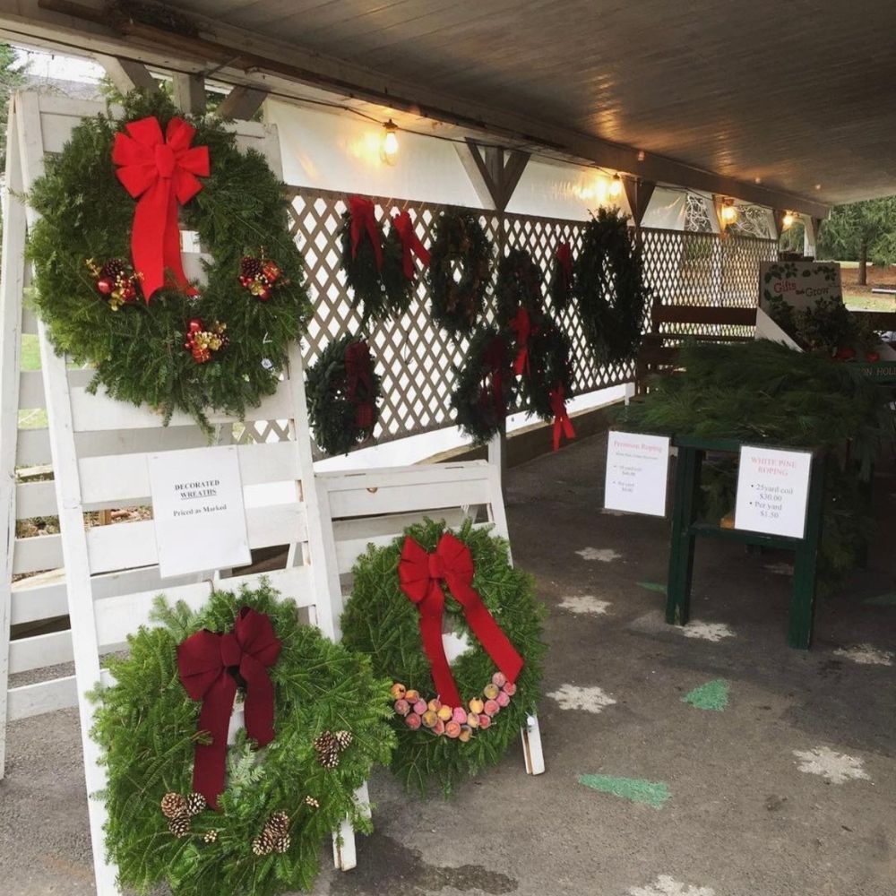 A display of christmas wreaths with red bows