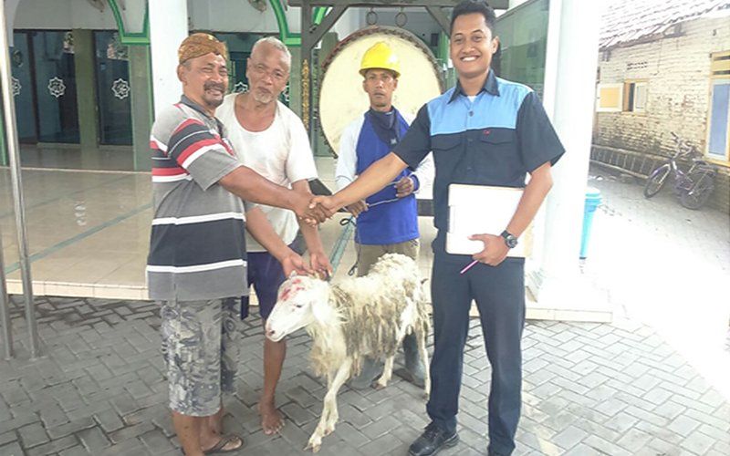 Pemberian Hewan Kurban untuk Idul Adha