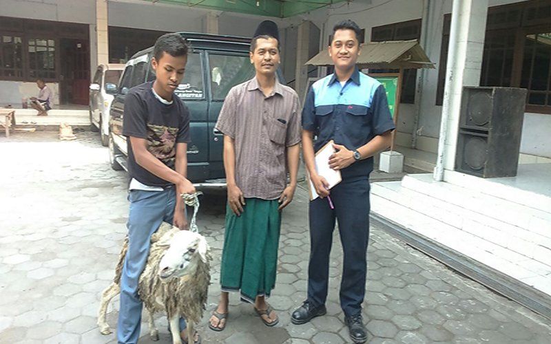 Pemberian Hewan Kurban untuk Idul Adha dari Spindo