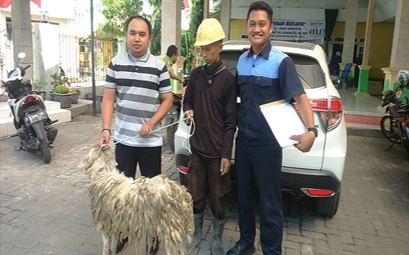 Pemberian Hewan Kurban untuk Idul Adha Spindo