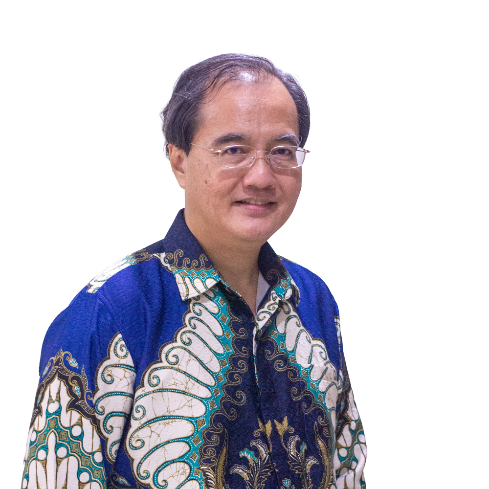 The hany purnomo direktur independen