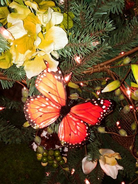 Two butterflies are sitting on a christmas tree branch