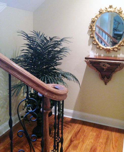 A staircase with a plant and a mirror on the wall