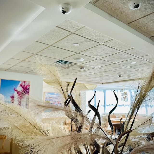 A room with a lot of plants in it