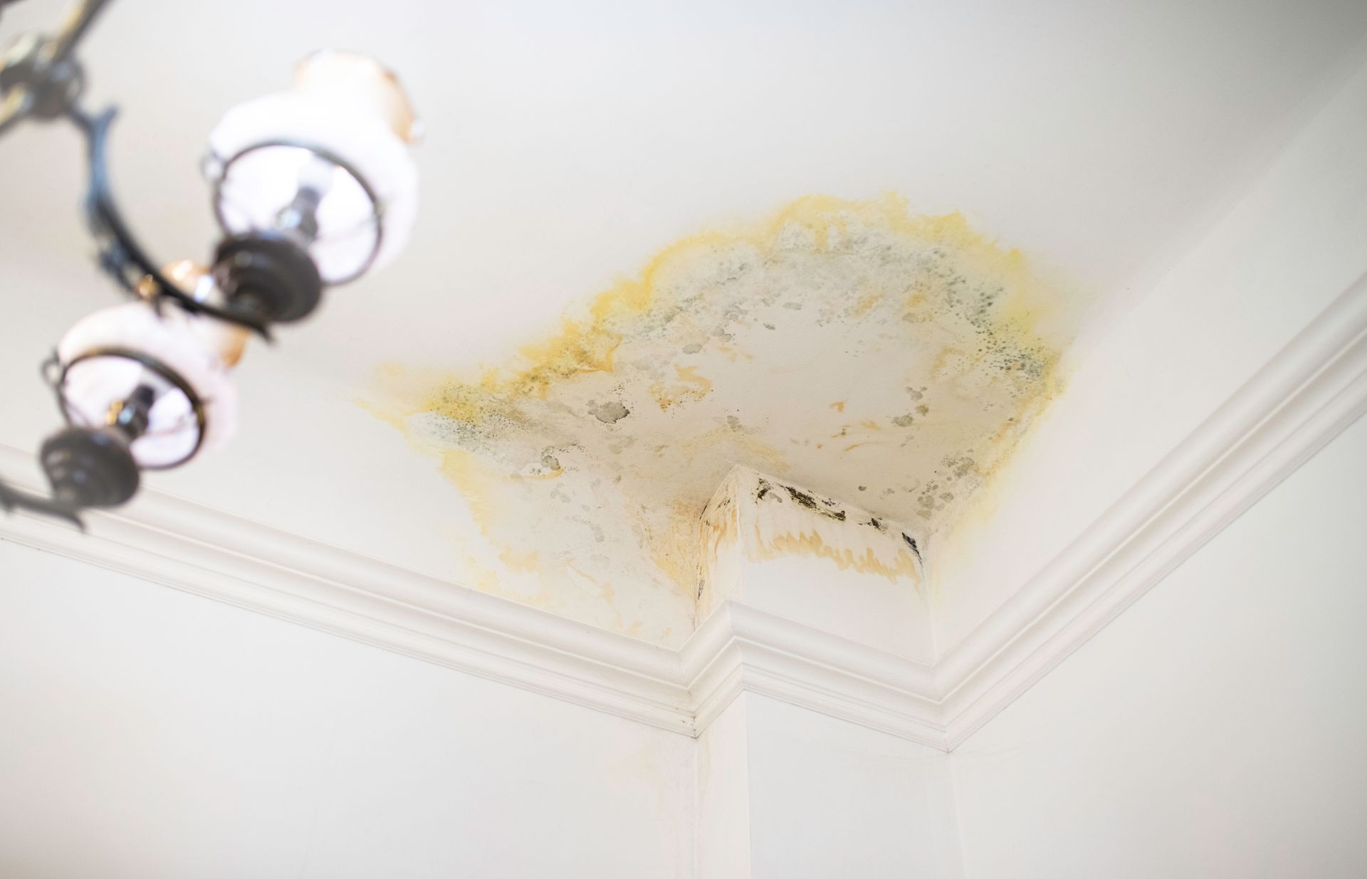 Person on a ladder measuring water damage on a white ceiling with a yellow hard hat and safety vest.