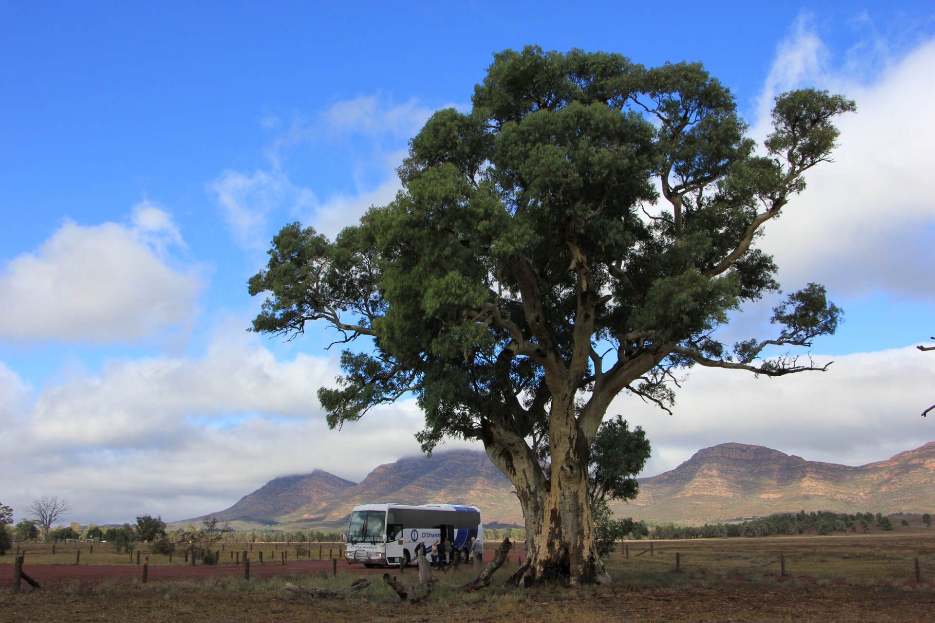 Tours O'Shannessy's Quality Tours