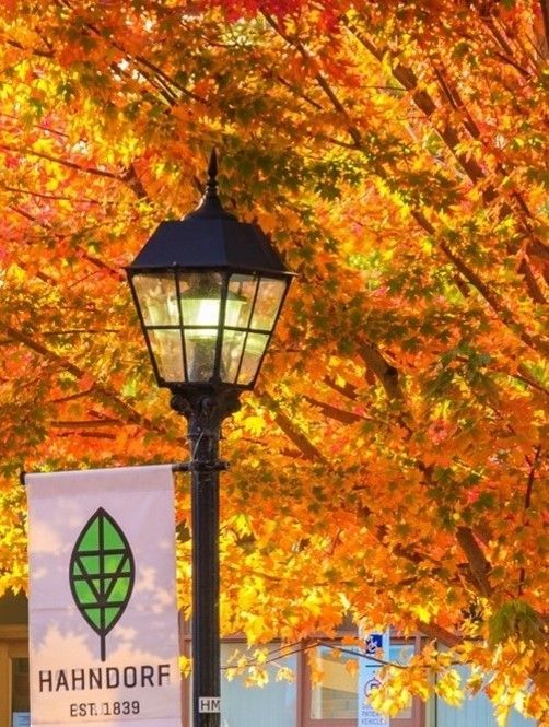 Autumn in the Adelaide Hills 2026 - 7 Day Tour