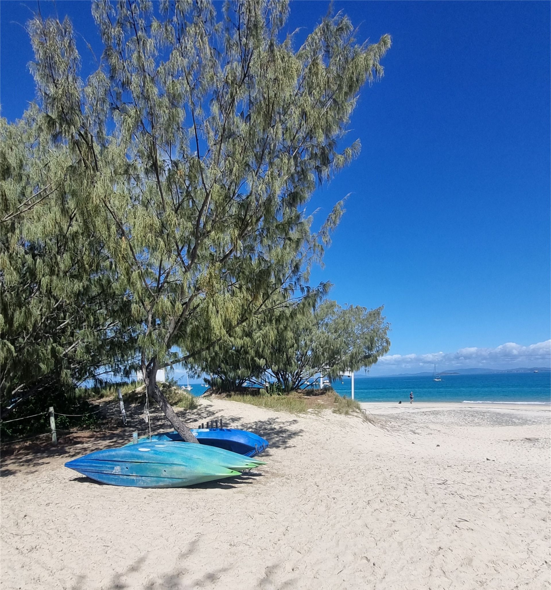 Capricorn Coast and Great Keppel Island 2025 - 7 Day Tour
