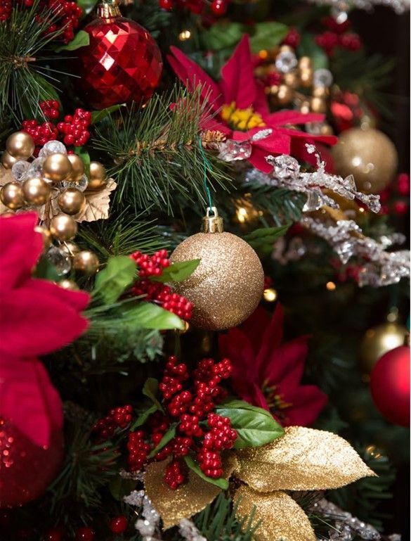 Christmas in Geelong 2026 - 5 Day Tour