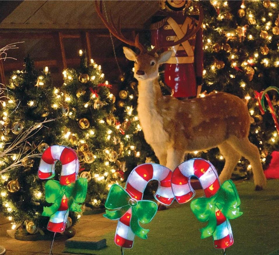 Christmas Lights in Loxton 2026 - 6 Day Tour