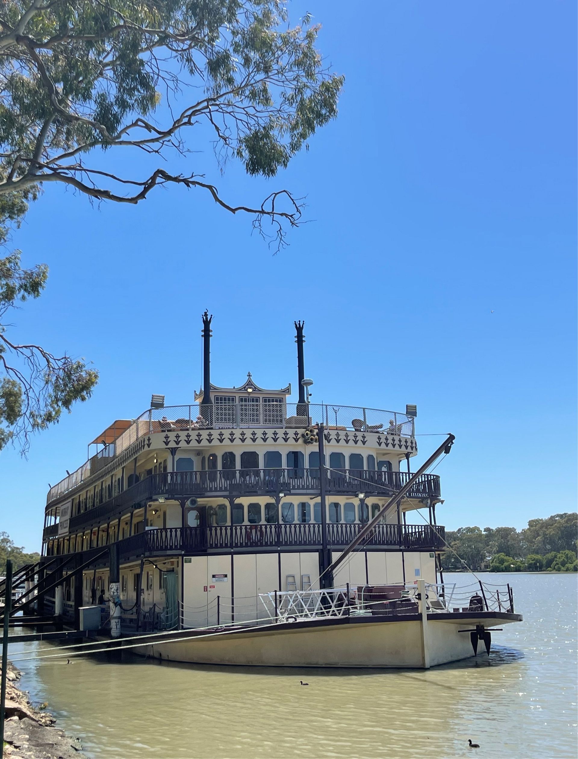 Christmas on the Murray Princess 2025 - 10 Day Tour