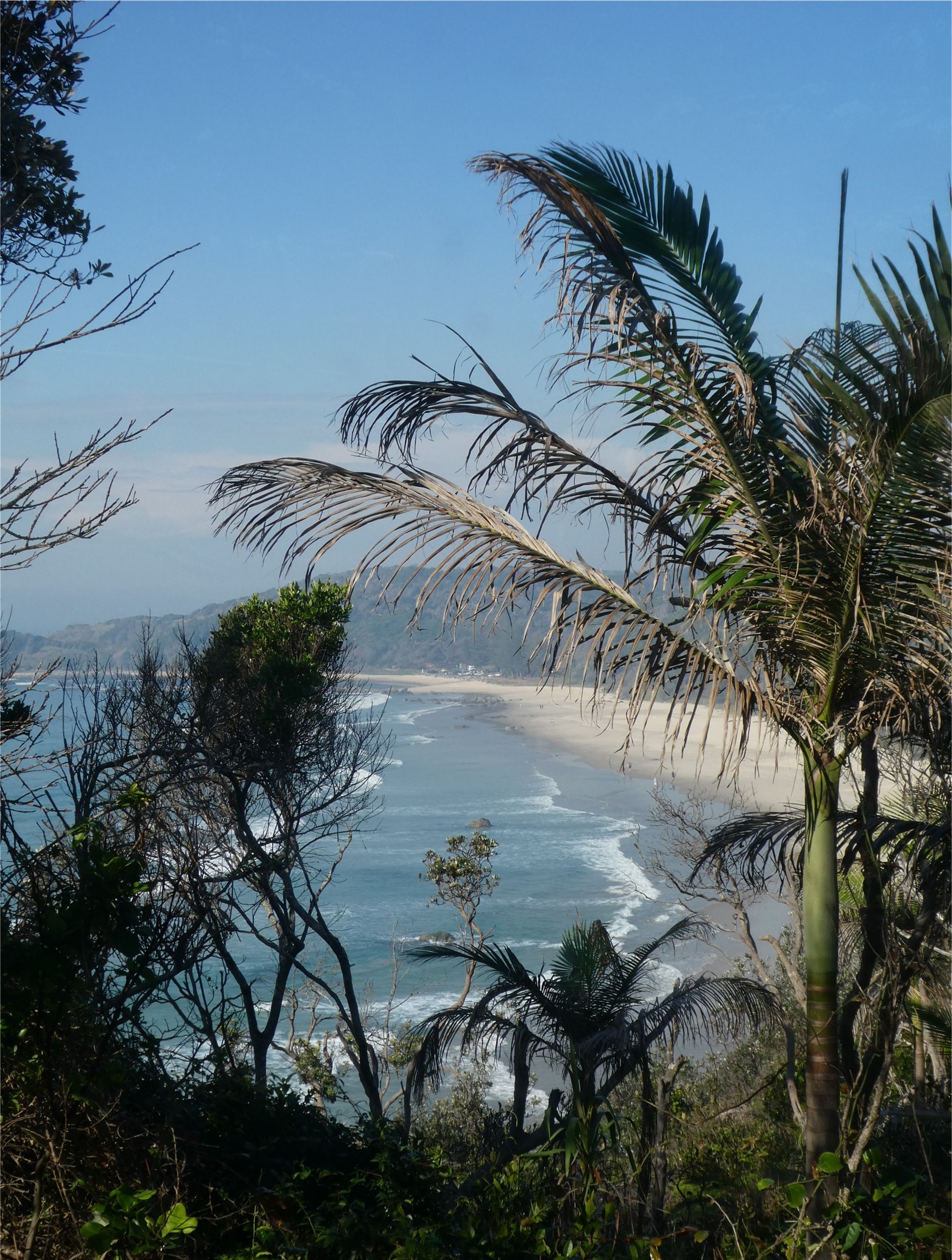 Sydney to Brisbane Coastal Explorer 2026 - 11 Day Tour 