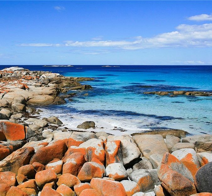 Discover Tasmania Spring 2026 - 12 Day Tour