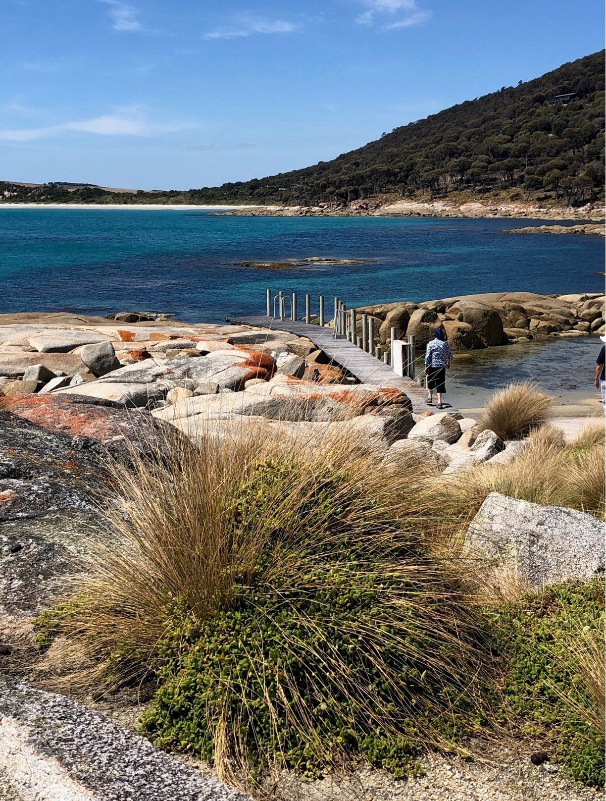 Flinders Island Spring 2026 - 4 Day Tour