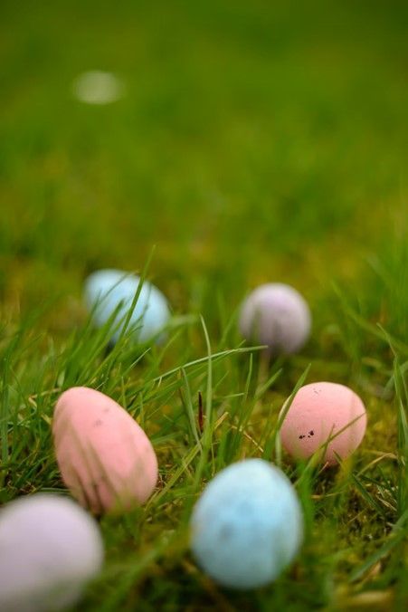 Griffith Easter Party 2027 - 7 Day Tour