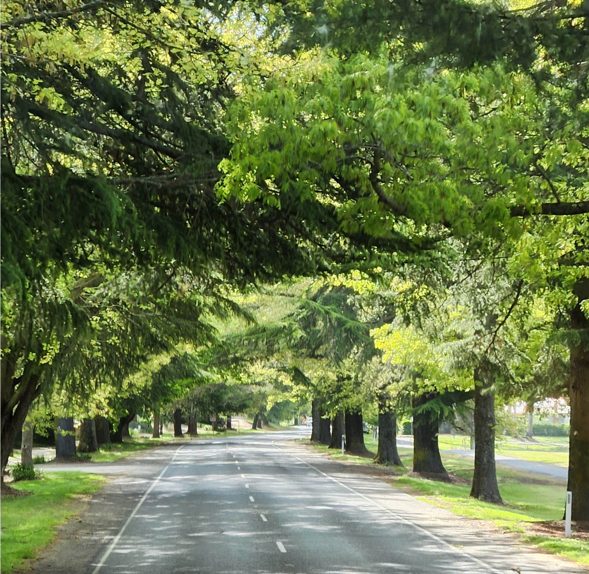 High Country Spring Tour 1 2026 - 5 Day Tour