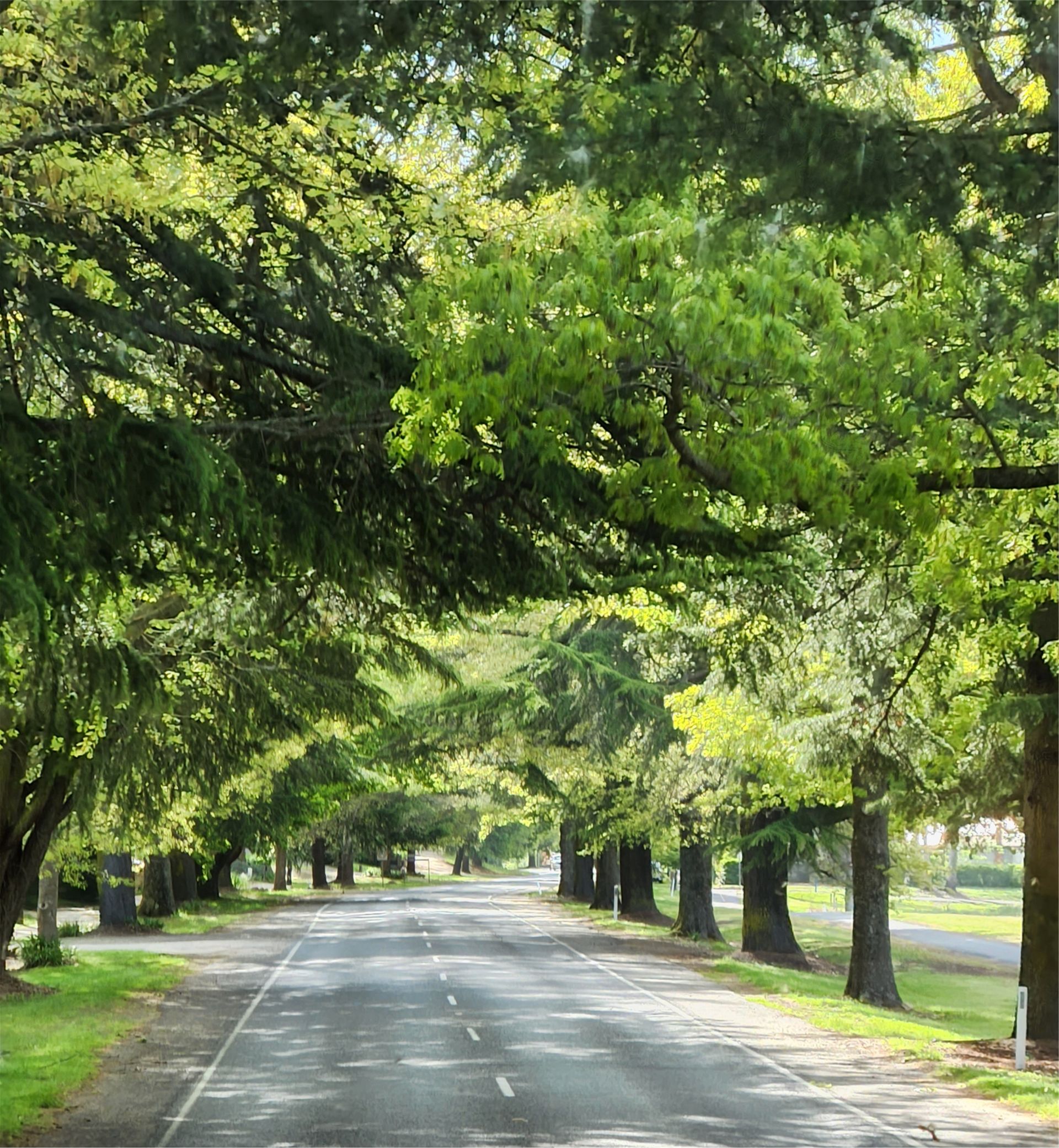 High Country in Spring Tour 2 2025 - 5 Day Tour