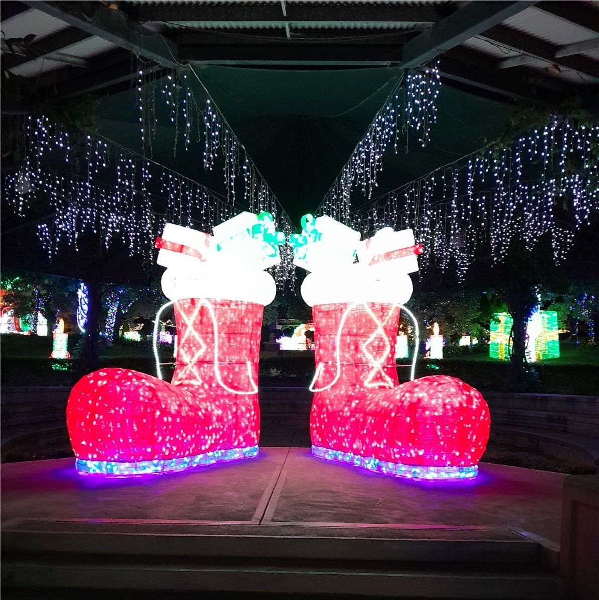 Hunter Valley Christmas Lights 2025 - 8 Day Tour