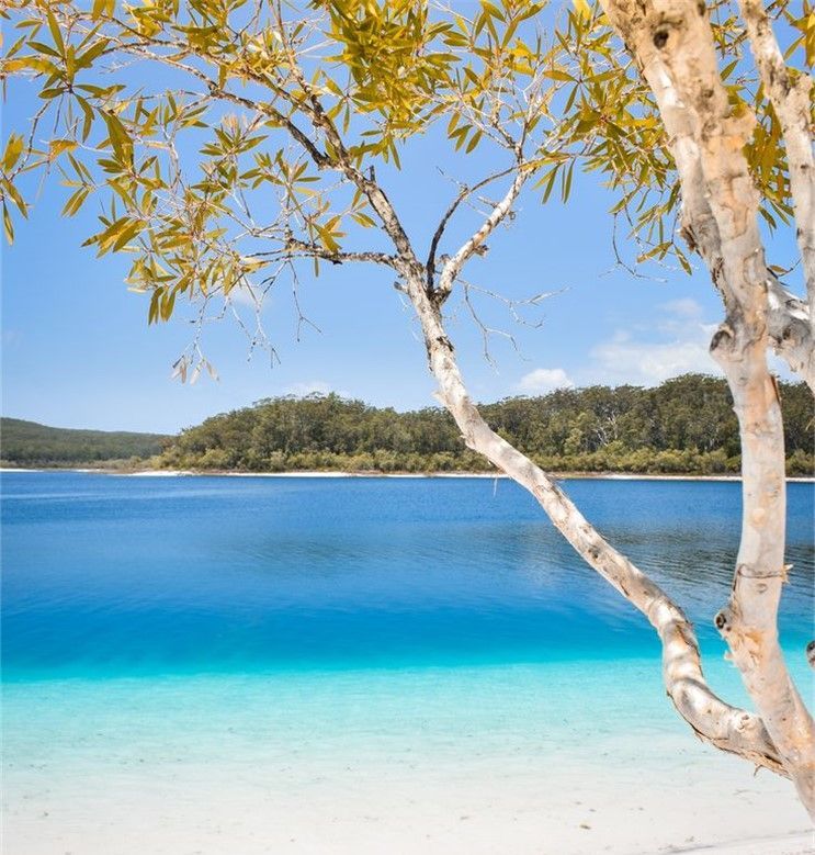 K'gari Fraser Island and Gympie Getaway 2025 - 8 Day Tour